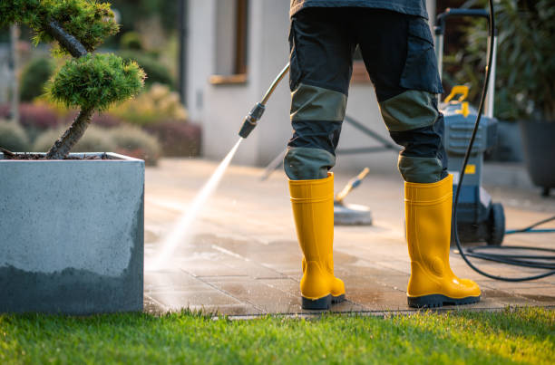 Best Affordable Power Washing  in Westwood Lakes, FL